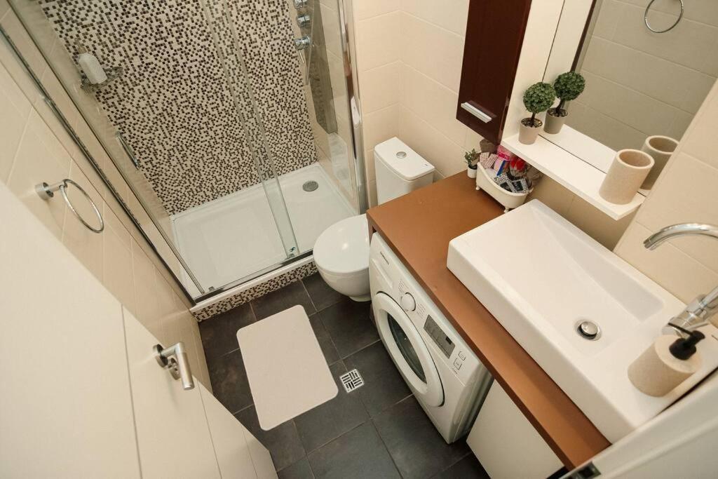 Apartment Oasis Bucharest